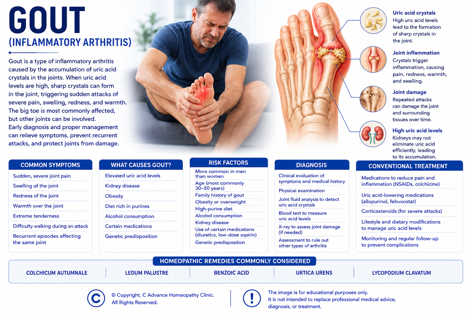 AI in Homeopathic Practice
